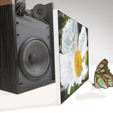 Load image into Gallery viewer, Tenstyle Acoustic Panels