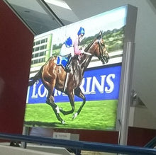 Load image into Gallery viewer, Lightbox Display Stand - Standing