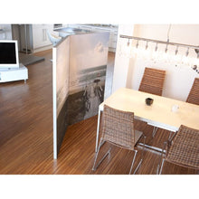 Load image into Gallery viewer, Screens - Zig Zag (hinged)