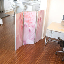 Load image into Gallery viewer, Screens - Zig Zag (hinged)