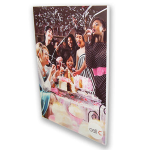Tenstyle Wall Mount - Retail