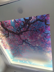 Ceiling Lightboxes